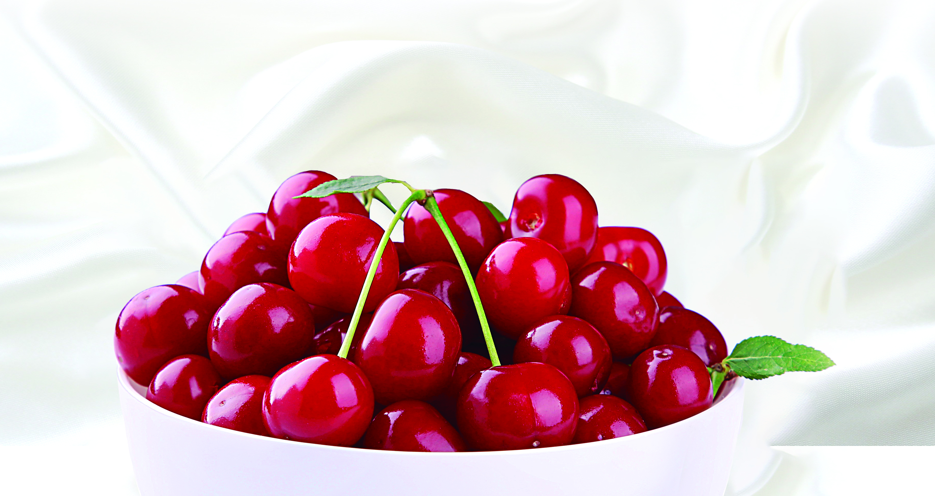 bulk-frozen-sour-cherry